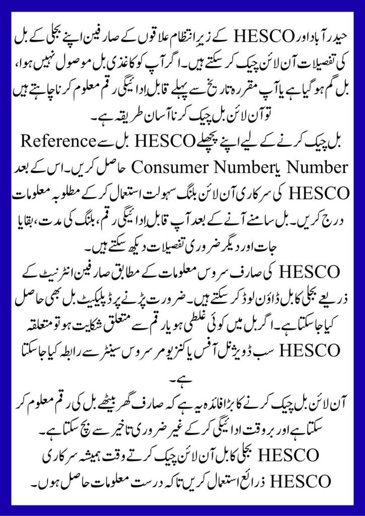 HESCO Electricity Bill Check