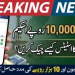 Maryam Nawaz 10000 scheme application