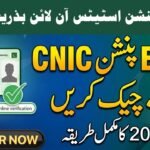 Verify Your EOBI Pension Scheme