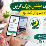 Check BISP Balance Online