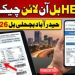 HESCO Electricity Bill Check