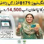 8171 فنڈز میں بڑا اضافہ