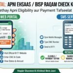 Ehsaas BISP Raqam Check Krny Ka Tarika